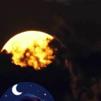 Que tus sueños sean pacíficos y tu noche esté llena de descanso y paz. ¡Buenas noches!