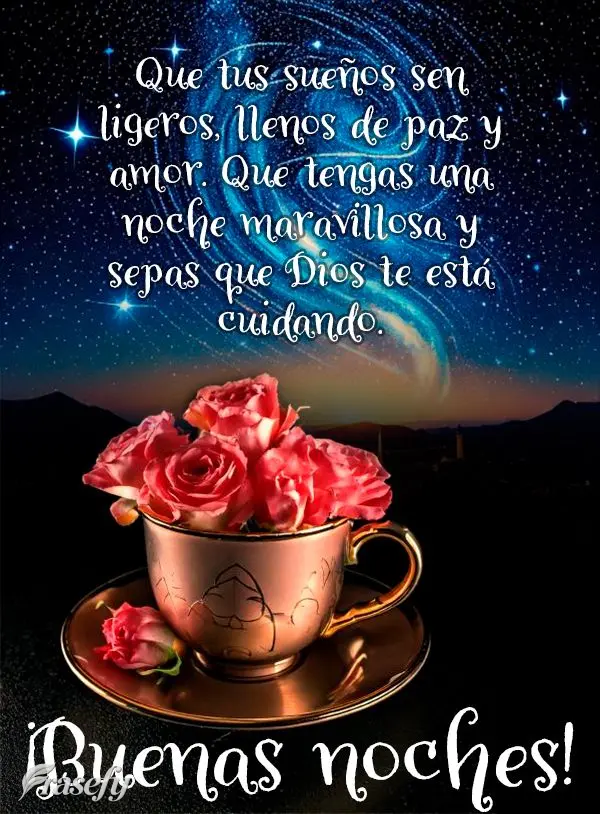 Que tus sueños sen ligeros, llenos de paz y amor. Que tengas una noche maravillosa y sepas que Dios te está cuidando. ¡Buenas noches!