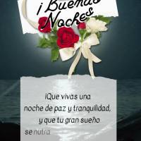 ¡Que vivas una noche de paz y tranquilidad, y que tu gran sueño se nutra de fe, esperanza y motivación para que mañana persistas en lo que te hace fe...