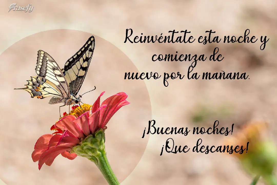 Reinvéntate esta noche y comienza de nuevo por la mañana. ¡Buenas noches! ¡Que descanses! 