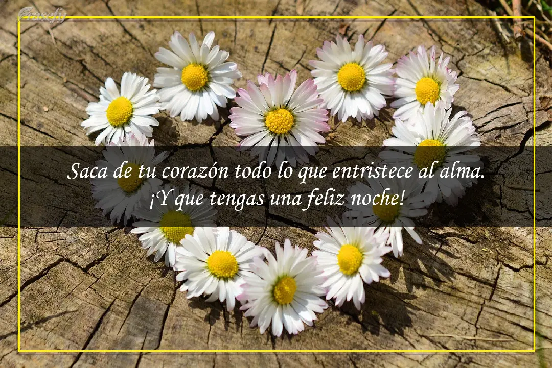 Saca de tu corazón todo lo que entristece al alma. ¡Y que tengas una feliz noche!