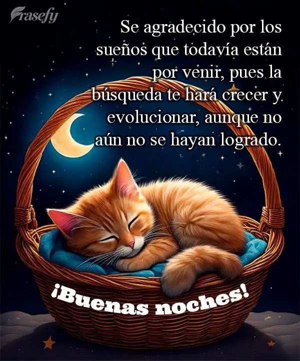 Se agradecido por los sueños que todavía están por venir, pues la búsqueda te hará crecer y evolucionar, aunque no aún no se hayan logrado. ¡Buena...