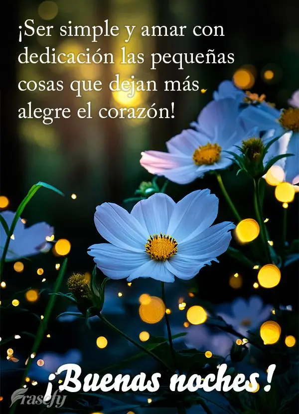 ¡Ser simple y amar con dedicación las pequeñas cosas que dejan más alegre el corazón! ¡Buenas noches!