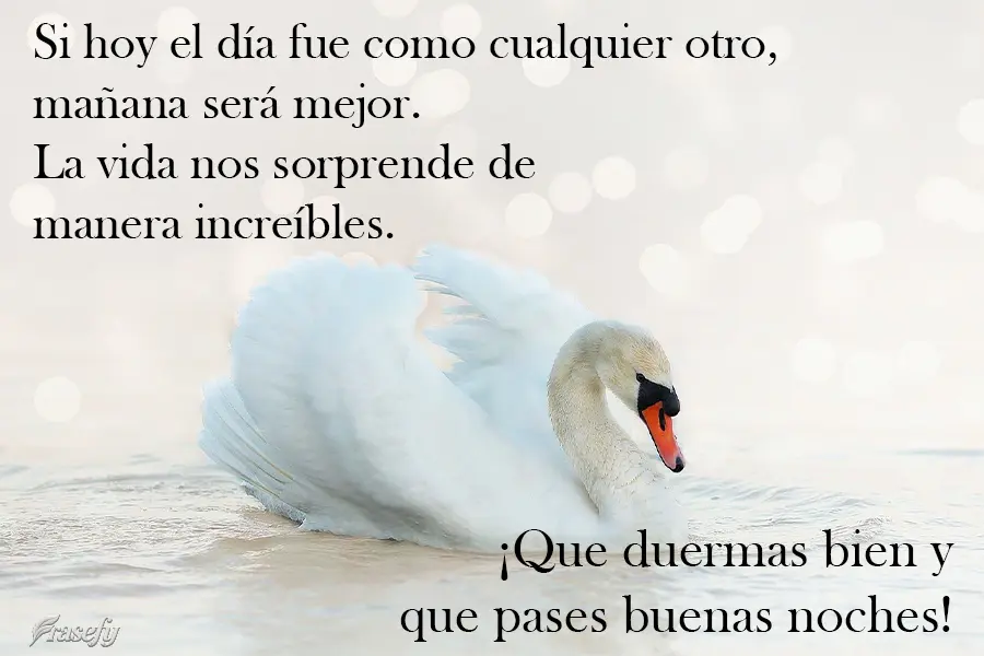 Si hoy el día fue como cualquier otro, mañana será mejor. La vida nos sorprende de manera increíbles. ¡Que duermas bien y que pases buenas noches!...