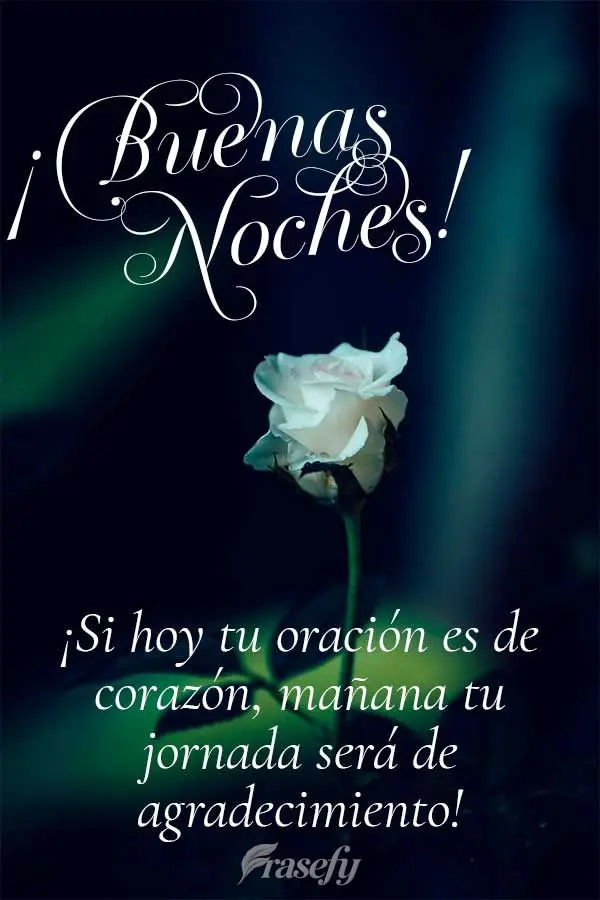 ¡Si hoy tu oración es de corazón, mañana tu jornada será de agradecimiento! ¡Buenas noches!