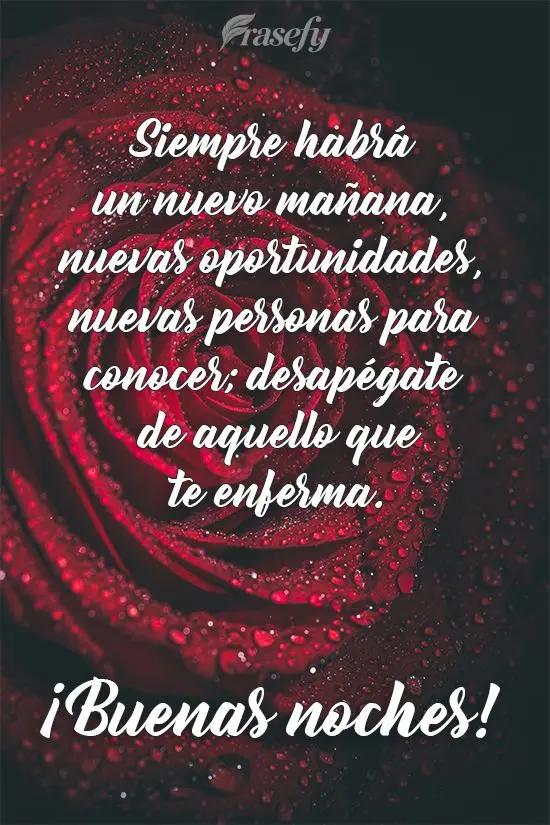 Siempre habrá un nuevo mañana, nuevas oportunidades, nuevas personas para conocer; desapégate de aquello que te enferma. ¡Buenas noches!