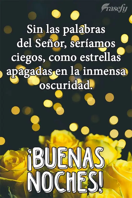 Sin las palabras del Señor, seríamos ciegos, como estrellas apagadas en la inmensa oscuridad. ¡Buenas noches!