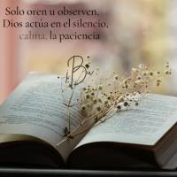 Solo oren u observen, Dios actúa en el silencio, la calma, la paciencia ya su tiempo! ¡Buenas noches!