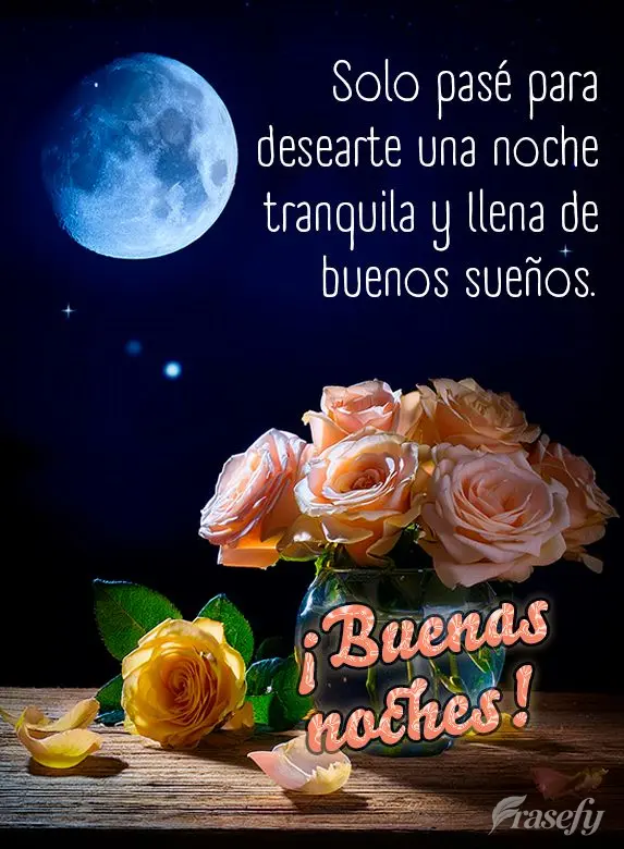 Solo pasé para desearte una noche tranquila y llena de buenos sueños. ¡Buenas noches!