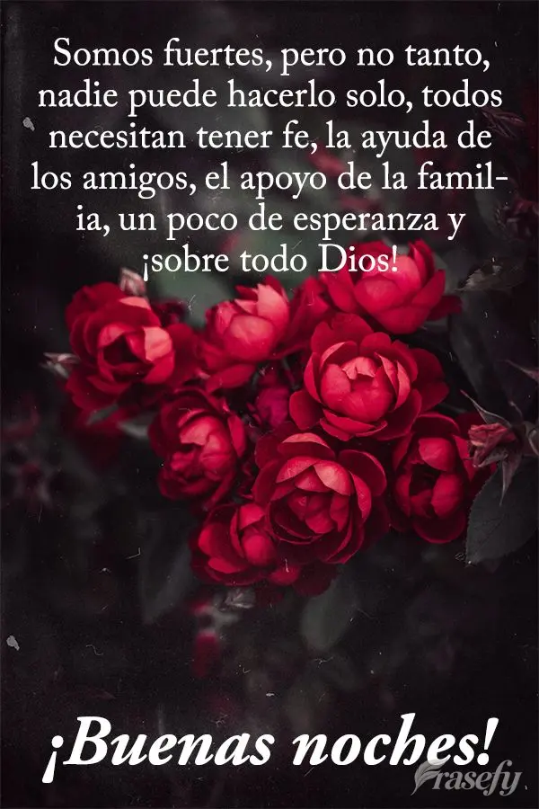 Somos fuertes, pero no tanto, nadie puede hacerlo solo, todos necesitan tener fe, la ayuda de los amigos, el apoyo de la familia, un poco de esperanza y ...