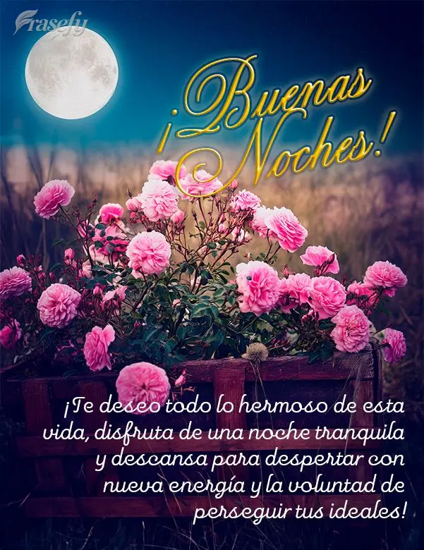 ¡Te deseo todo lo hermoso de esta vida, disfruta de una noche tranquila y descansa para despertar con nueva energía y la voluntad de perseguir tus idea...