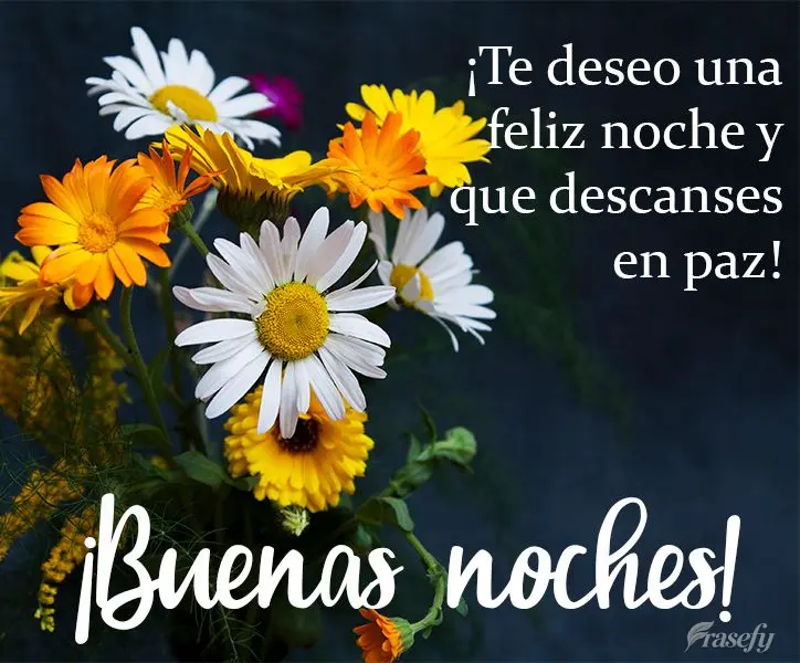 ¡Te deseo una feliz noche y que descanses en paz! ¡Buenas noches!