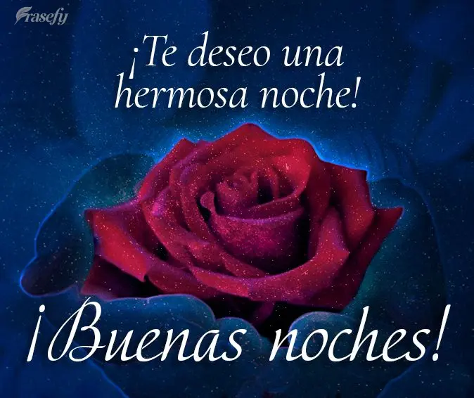 ¡Te deseo una hermosa noche! ¡Buenas noches!