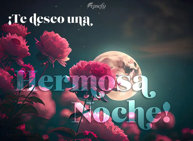 ¡Te deseo una hermosa noche!