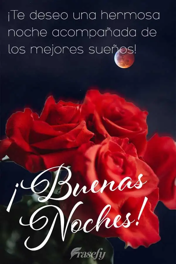 ¡Te deseo una hermosa noche acompañada de los mejores sueños! ¡Buenas noches!