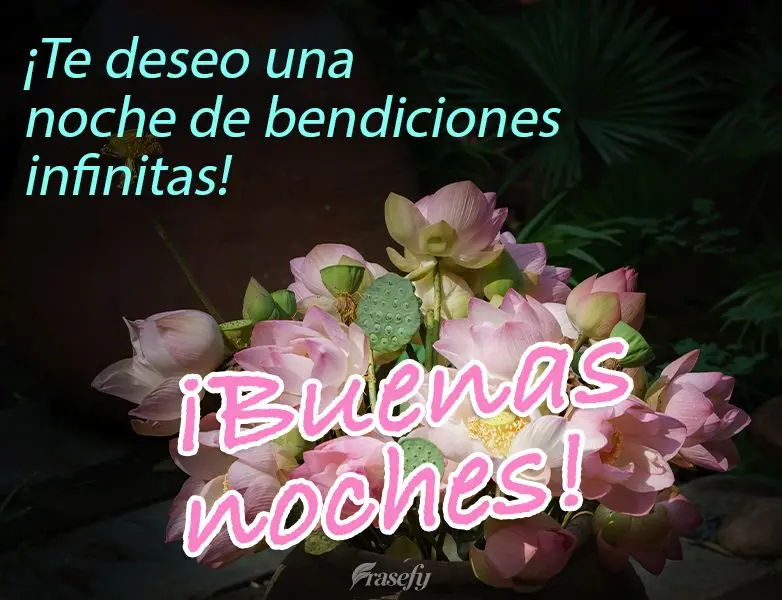 ¡Te deseo una noche de bendiciones infinitas! ¡Buenas noches!