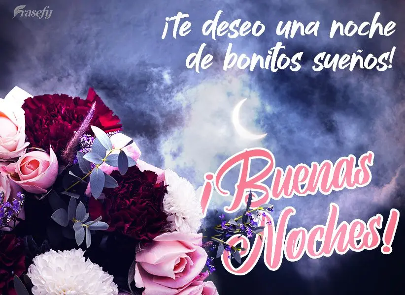 ¡Te deseo una noche de bonitos sueños! ¡Buenas noches!
