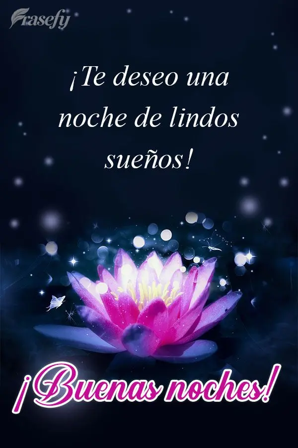 ¡Te deseo una noche de lindos sueños! ¡Buenas noches!