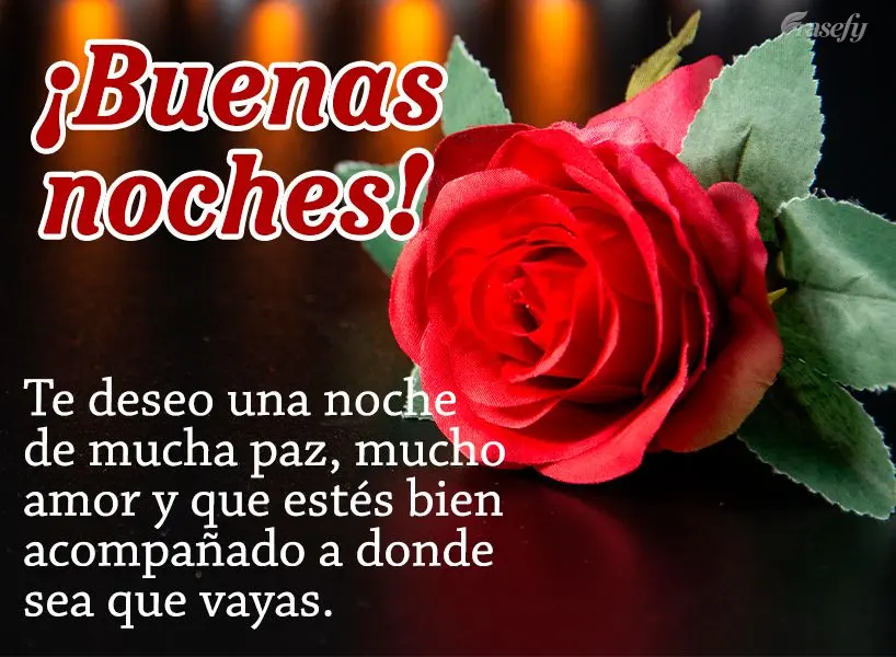 Te deseo una noche de mucha paz, mucho amor y que estés bien acompañado a donde sea que vayas. ¡Buenas noches!