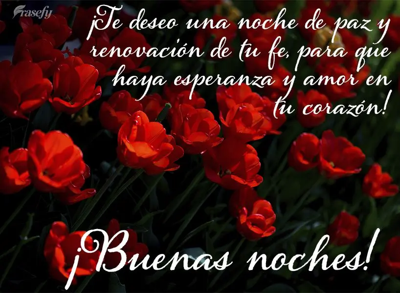 ¡Te deseo una noche de paz y renovación de tu fe, para que haya esperanza y amor en tu corazón! ¡Buenas noches!