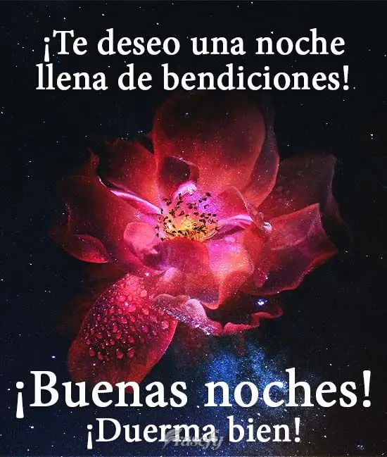 ¡Te deseo una noche llena de bendiciones! ¡Buenas noches! ¡Duerma bien!