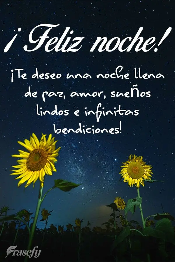 ¡Te deseo una noche llena de paz, amor, sueños lindos e infinitas bendiciones! ¡Buenas noches!