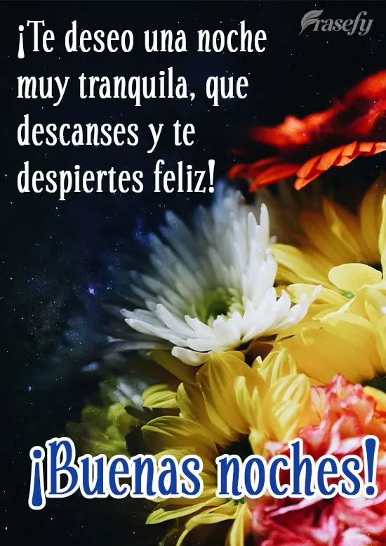 ¡Te deseo una noche muy tranquila, que descanses y te despiertes feliz! ¡Buenas noches!