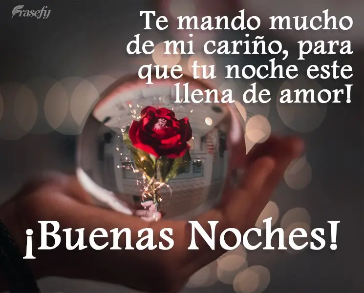 Te mando mucho de mi cariño, para que tu noche este llena de amor! ¡Buenas noches!