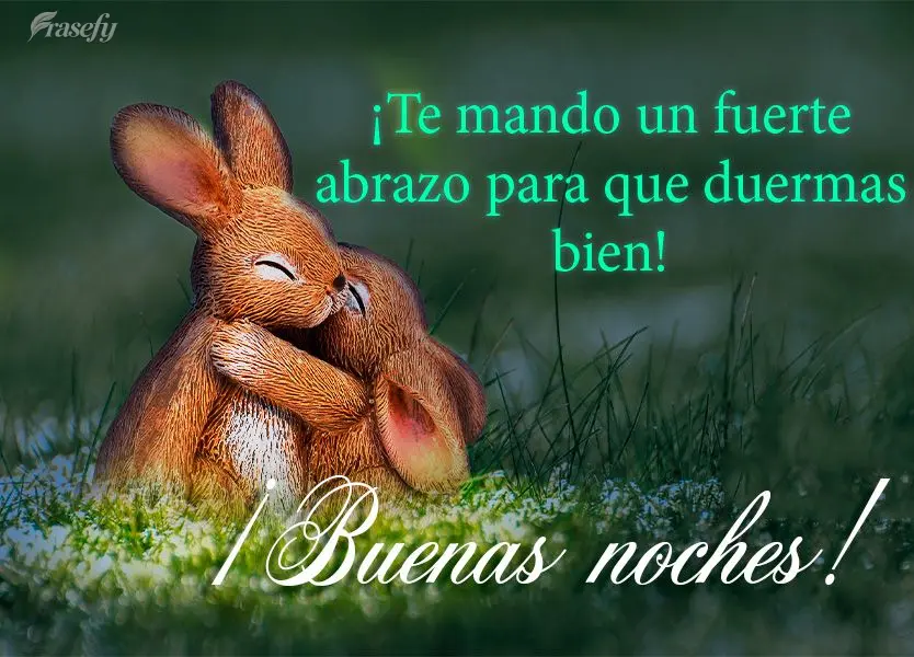 ¡Te mando un fuerte abrazo para que duermas bien! ¡Buenas noches!
