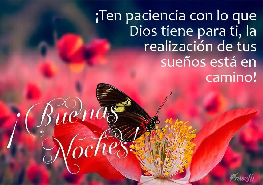 ¡Ten paciencia con lo que Dios tiene para ti, la realización de tus sueños está en camino! ¡Buenas noches!