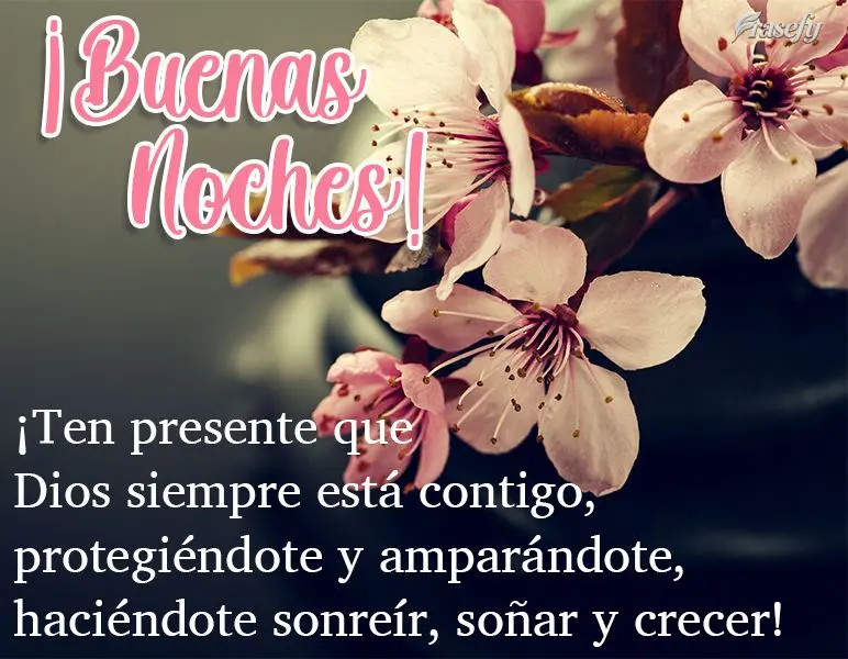 ¡Ten presente que Dios siempre está contigo, protegiéndote y amparándote, haciéndote sonreír, soñar y crecer! ¡Buenas noches!