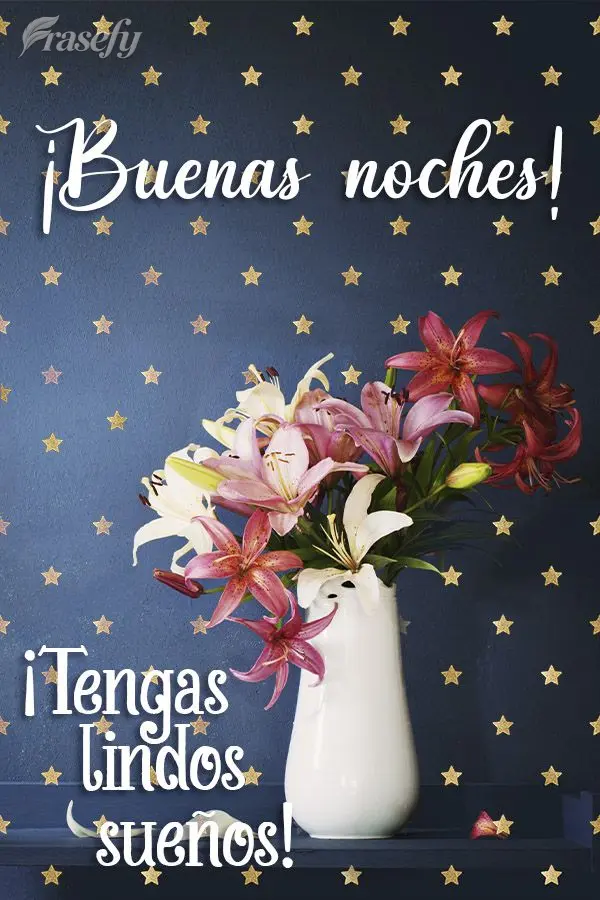 ¡Buenas noches! ¡Tenga lindos sueños!