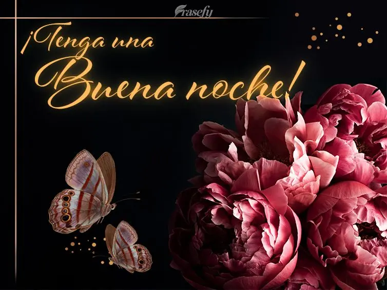 ¡Tenga una buena noche!