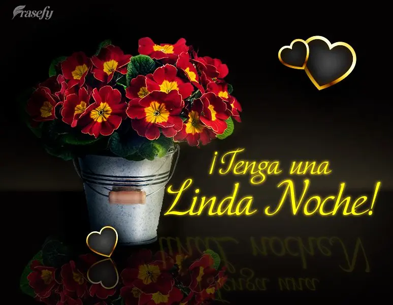 ¡Tenga una linda noche!