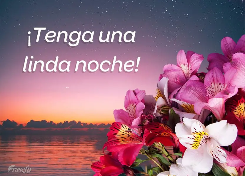 ¡Tenga una linda noche!