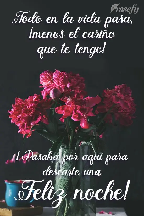 Todo en la vida pasa, ¡menos el cariño que te tengo! ¡Pasaba por aquí para desearte una Feliz noche!