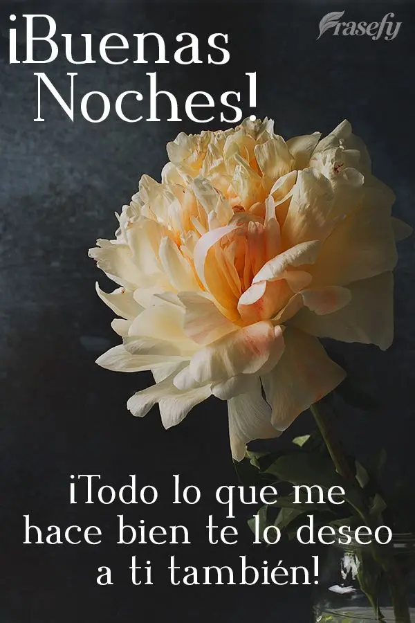 ¡Todo lo que me hace bien te lo deseo a ti también! ¡Buenas noches!