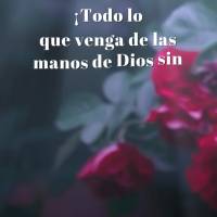 ¡Todo lo que venga de las manos de Dios sin duda serán las bendiciones más hermosas que recibirás! ¡Siendo bendecido! ¡Buenas noches!