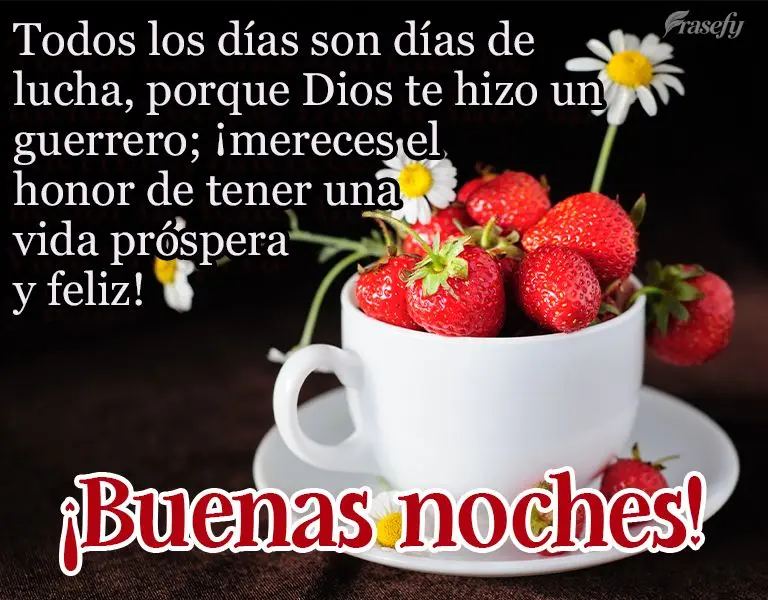 Todos los días son días de lucha, porque Dios te hizo un guerrero; ¡mereces el honor de tener una vida próspera y feliz! ¡Buenas noches!