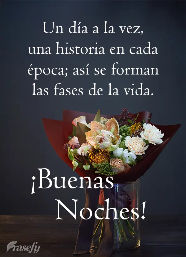 Un día a la vez, una historia en cada época; así se forman las fases de la vida. ¡Buenas noches!