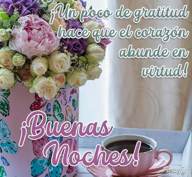 ¡Un poco de gratitud hace que el corazón abunde en virtud! ¡Buenas noches!