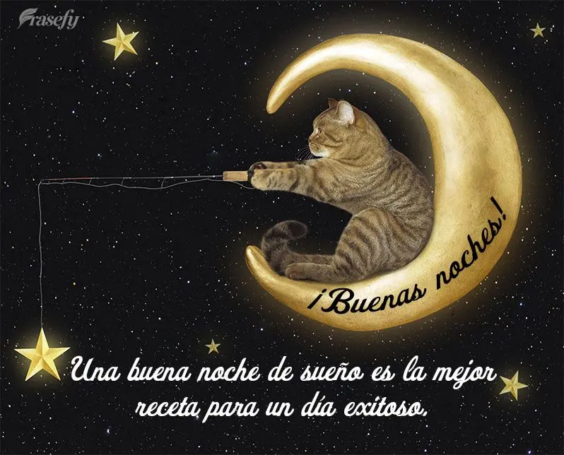 Una buena noche de sueño es la mejor receta para un día exitoso. ¡Buenas noches!