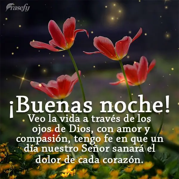 Veo la vida a través de los ojos de Dios, con amor y compasión, tengo fe en que un día nuestro Señor sanará el dolor de cada corazón. ¡Buenas noch...
