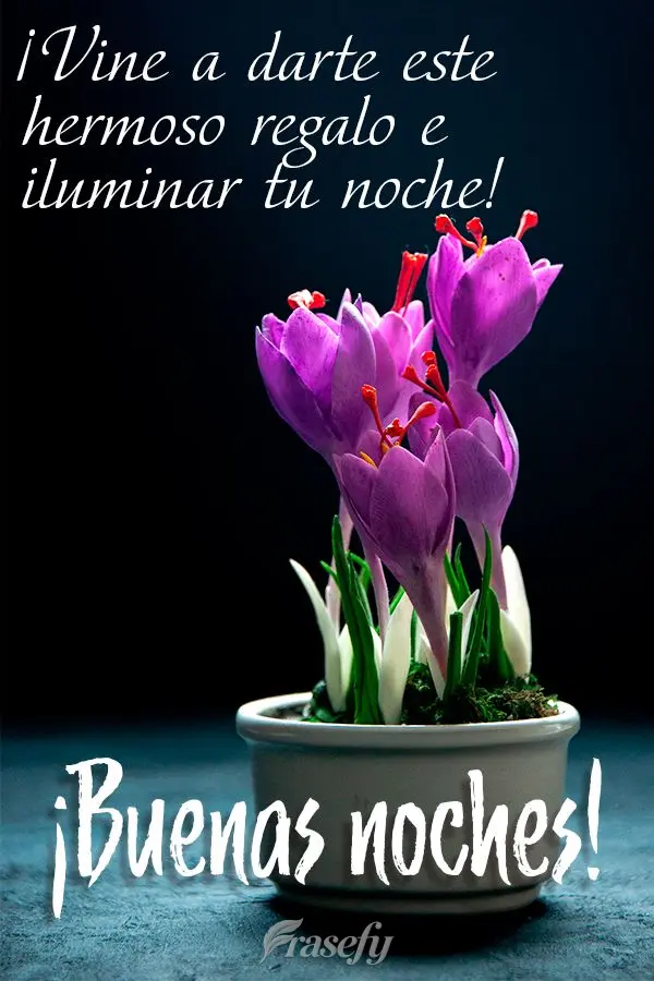 ¡Vine a darte este hermoso regalo e iluminar tu noche! ¡Buenas noches!