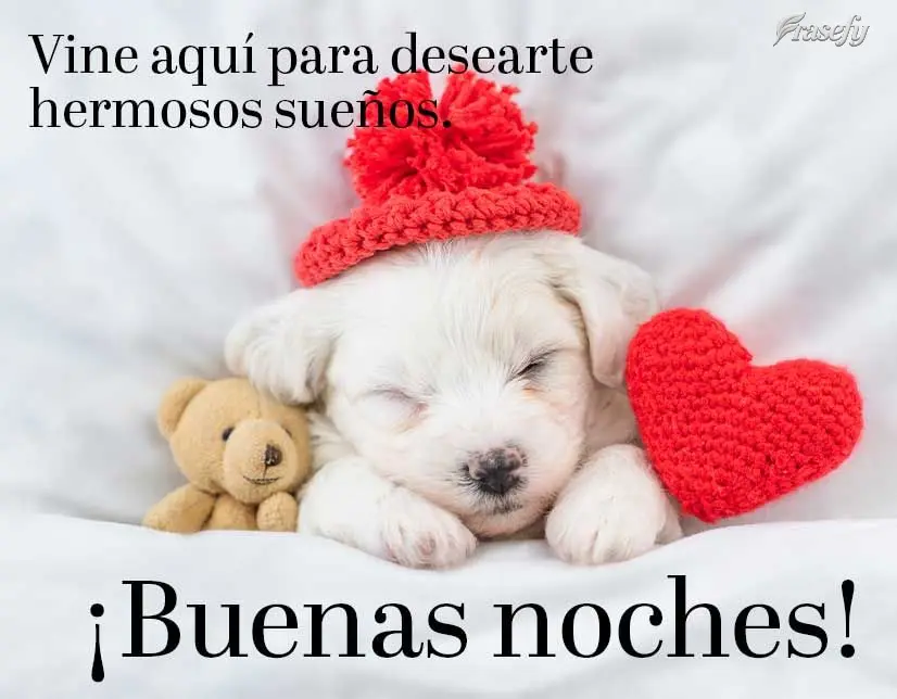 Vine aquí para desearte hermosos sueños. ¡Buenas noches!