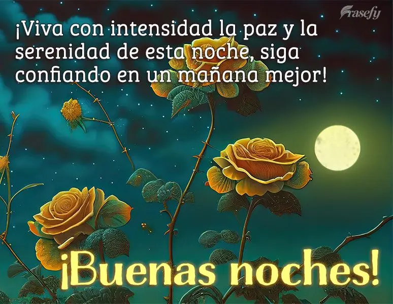 ¡Viva con intensidad la paz y la serenidad de esta noche, siga confiando en un mañana mejor! ¡Buenas noches!