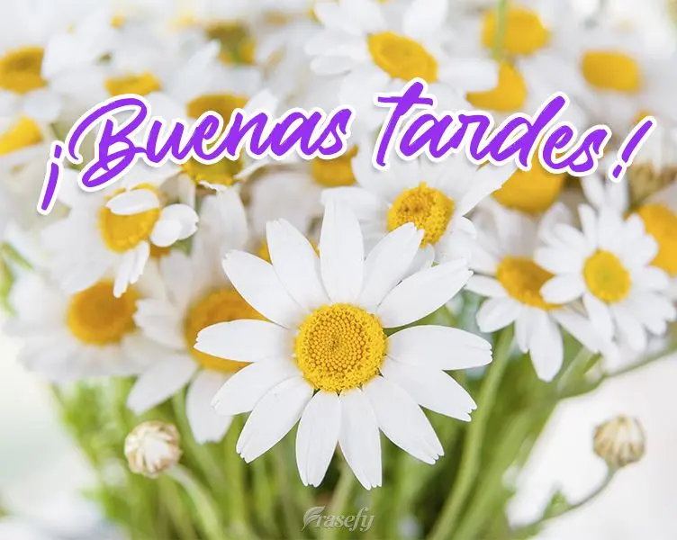 ¡Buenas tardes!