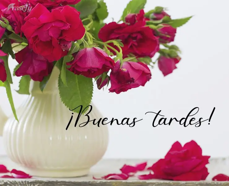 ¡Buenas tardes!