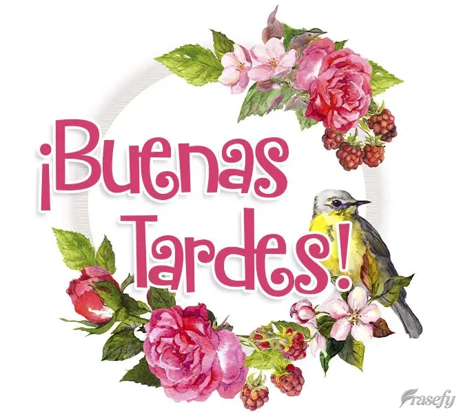 ¡Buenas tardes!