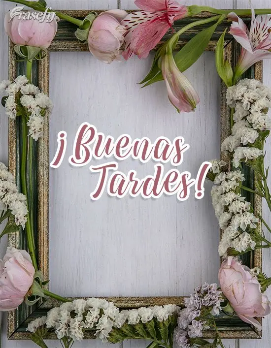 ¡Buenas tardes!